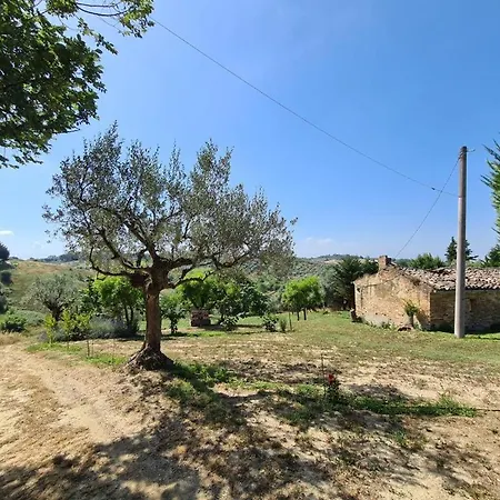 La Casetta In Collina - A Pochi Km Dal Mare Casa vacanze *