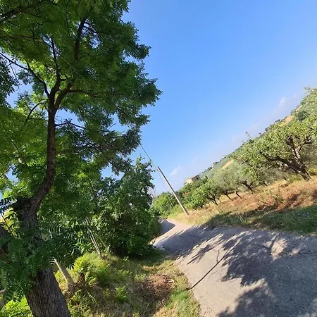 La Casetta In Collina - A Pochi Km Dal Mare Feriehus Spoltore
