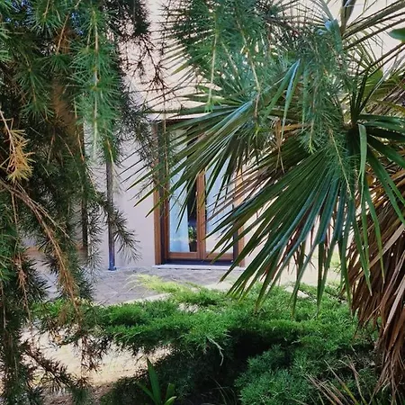 Ferienhaus La Casetta In Collina - A Pochi Km Dal Mare *